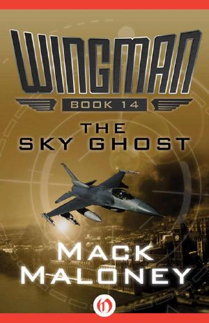 [Wingman 14] • The Sky Ghost